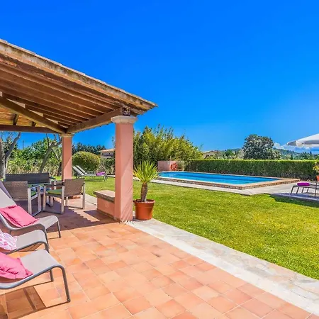 Patricia Willa Pollensa